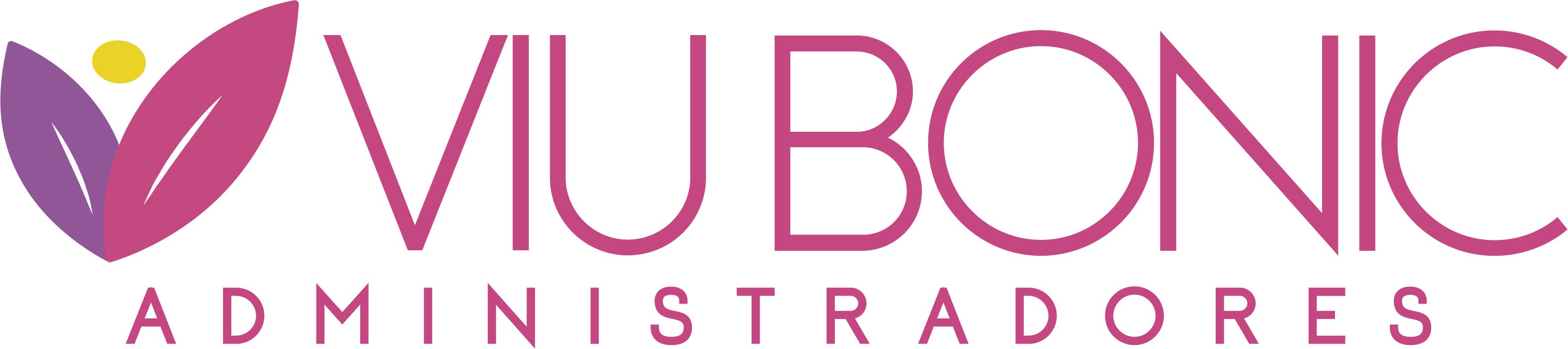 Viu Bonic Administradores